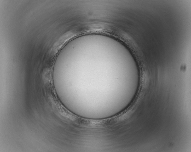 X0000114031353200910021031