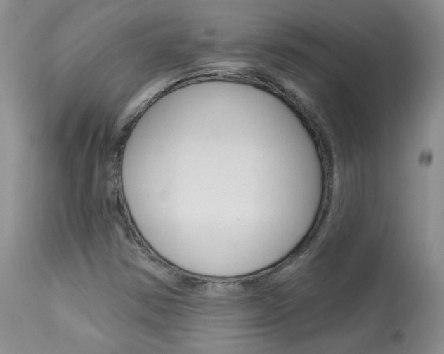 X0000114031354200910021031