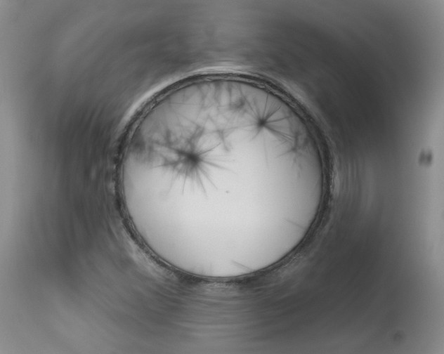 X0000114031356200910021031
