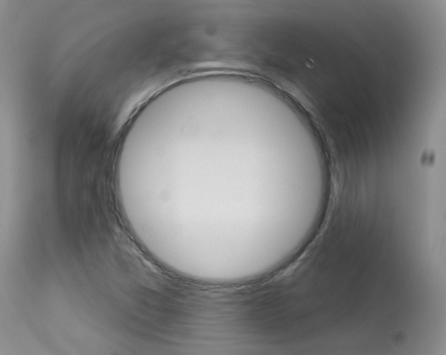X0000114031357200910021031