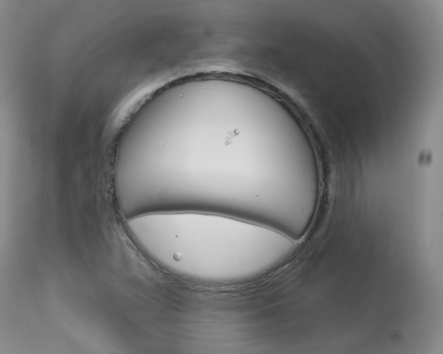 X0000114031359200910021031