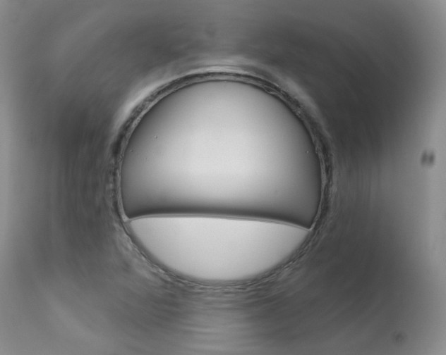 X0000114031360200910021031