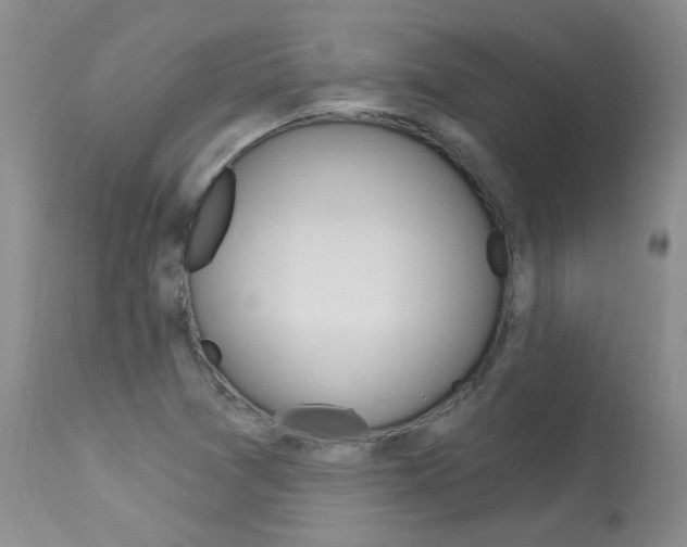 X0000114031361200910021031
