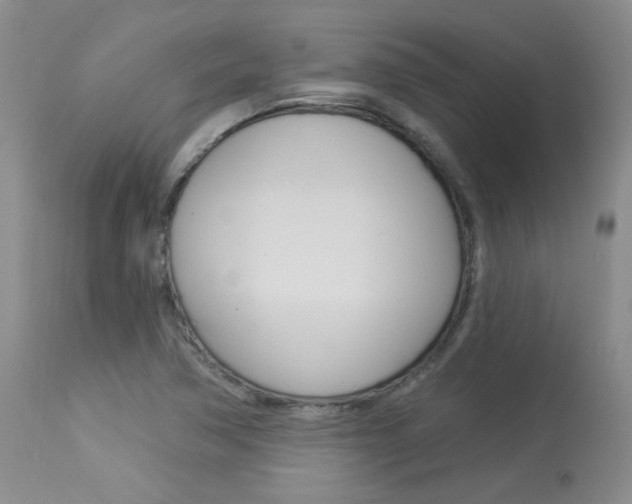 X0000114031362200910021031