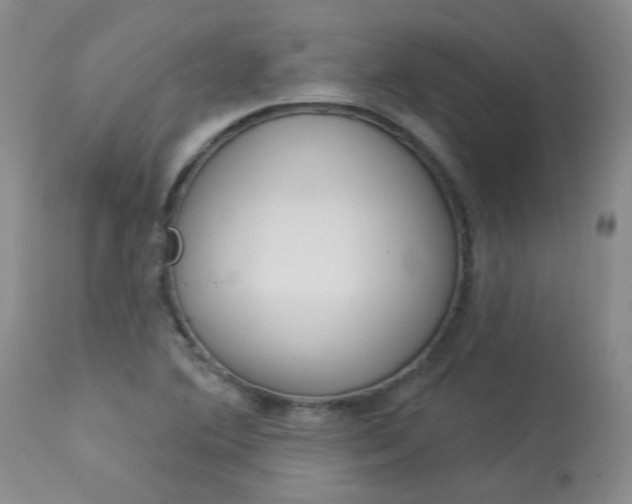 X0000114031364200910021031
