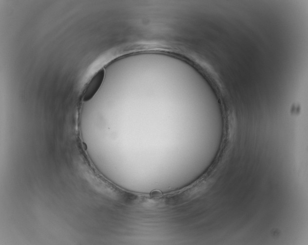 X0000114031365200910021031