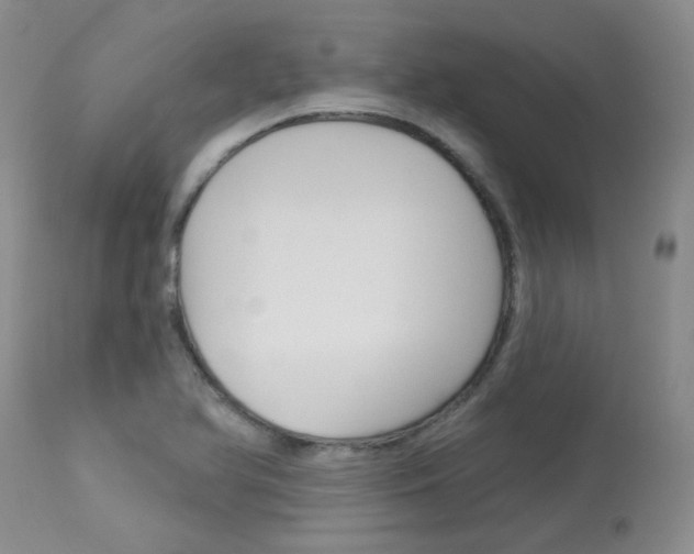 X0000114031366200910021031