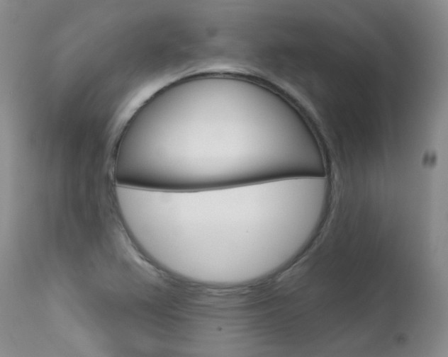 X0000114031367200910021031