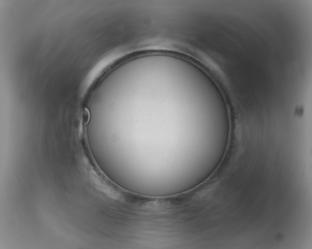 X0000114031368200910021031