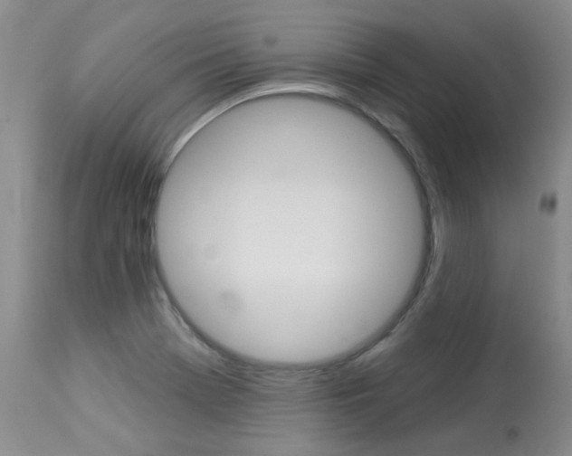 X0000114031369200910021031