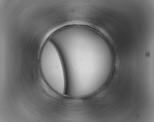 X0000114031372200910021030