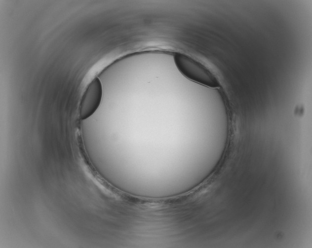 X0000114031373200910021030