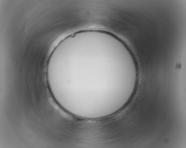 X0000114031374200910021030