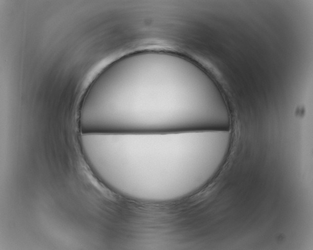 X0000114031375200910021030