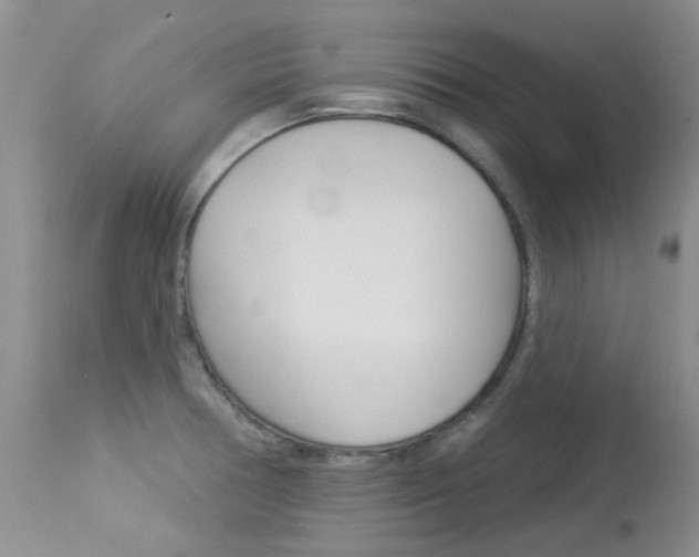 X0000114031378200910021030