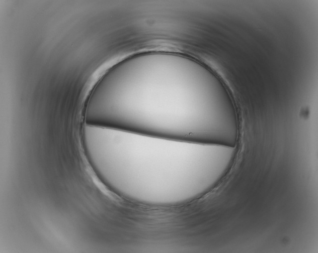 X0000114031379200910021030