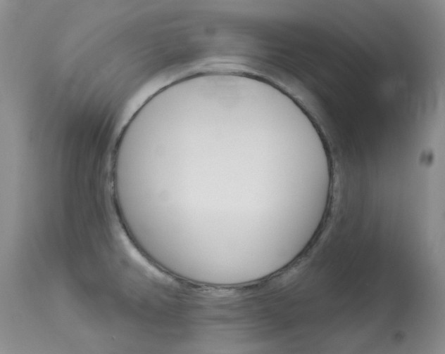 X0000114031382200910021030