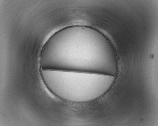 X0000114031383200910021030