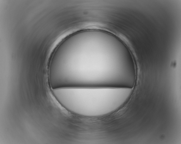X0000114031384200910021030
