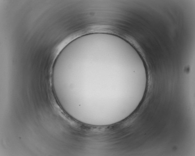 X0000114031386200910021030