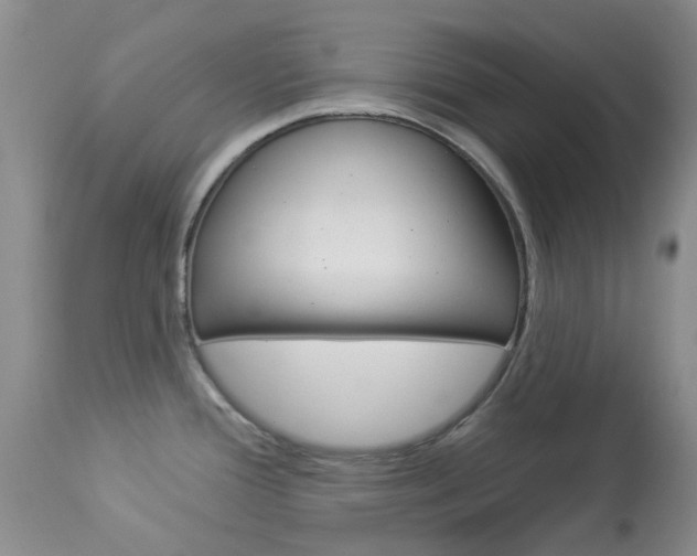 X0000114031388200910021030