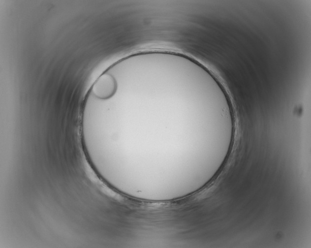 X0000114031390200910021030