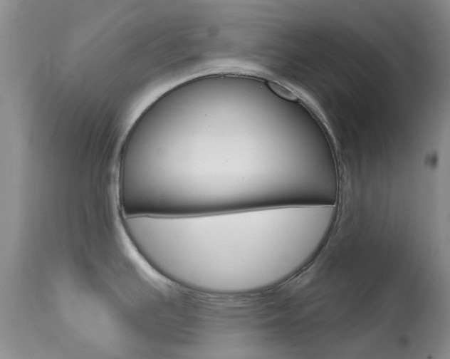 X0000114031391200910021030