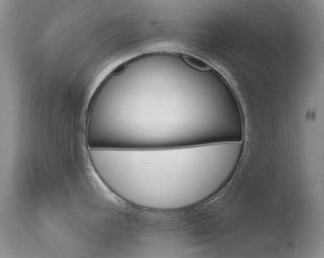 X0000114031392200910021030