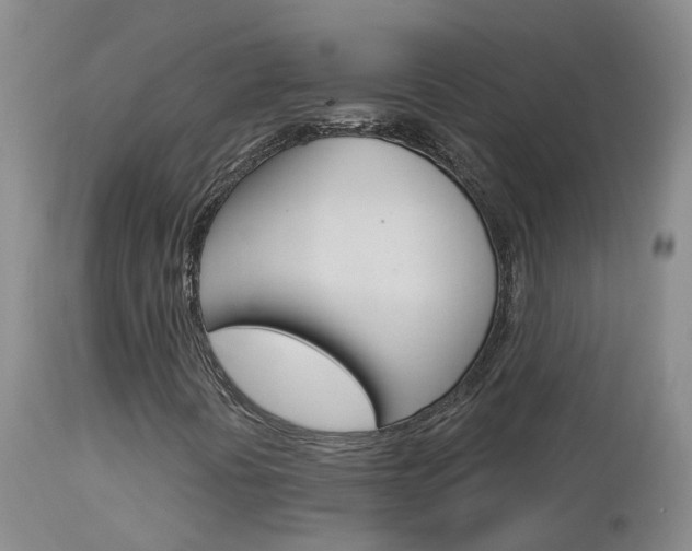 X0000114031394200910021029