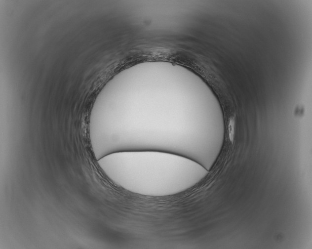 X0000114031395200910021029