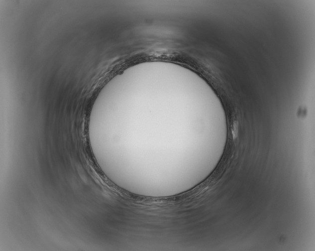 X0000114031396200910021029