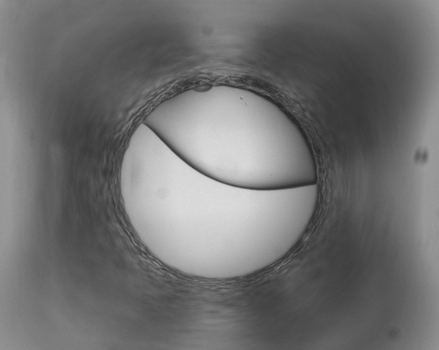 X0000114031397200910021029