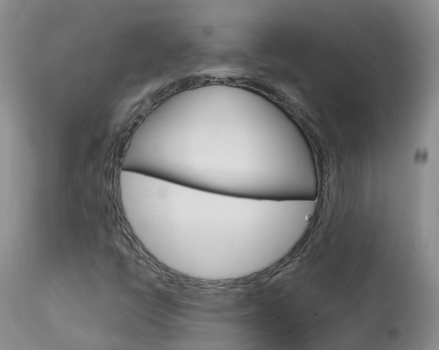 X0000114031398200910021029