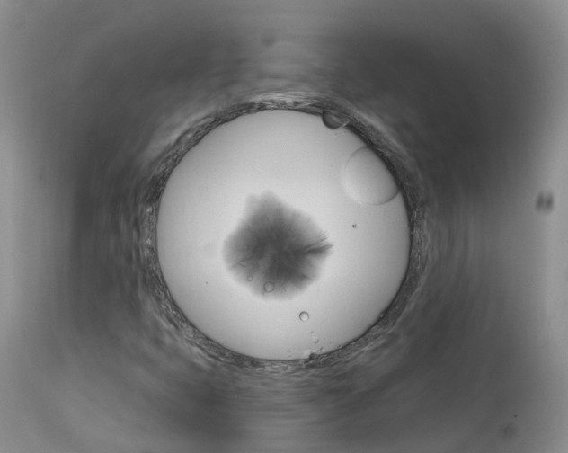 X0000114031399200910021029
