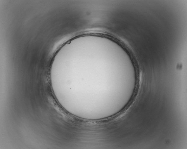 X0000114031405200910021029