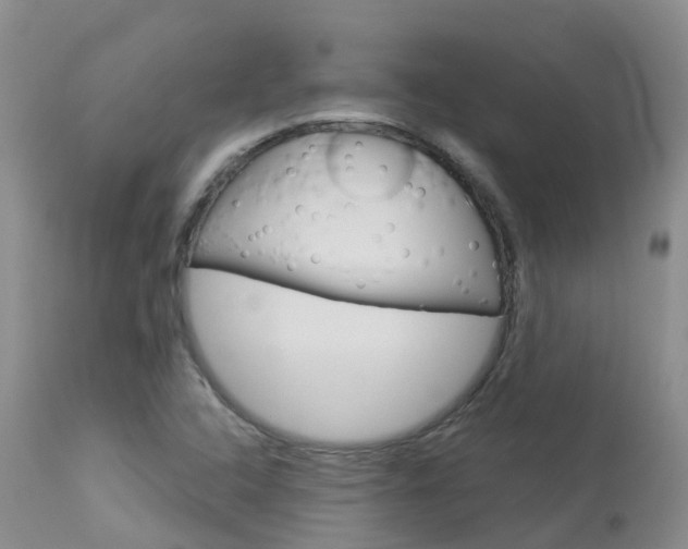 X0000114031408200910021029