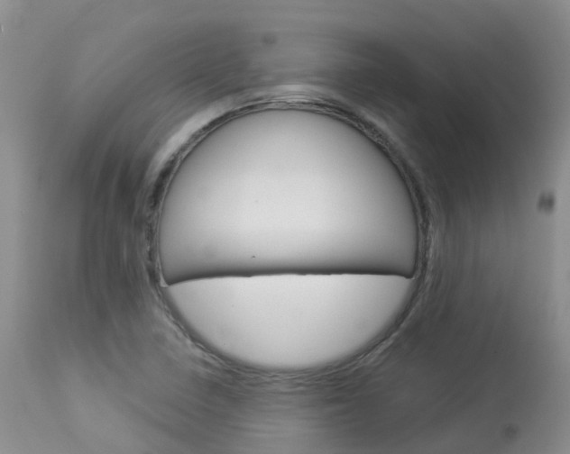 X0000114031410200910021029
