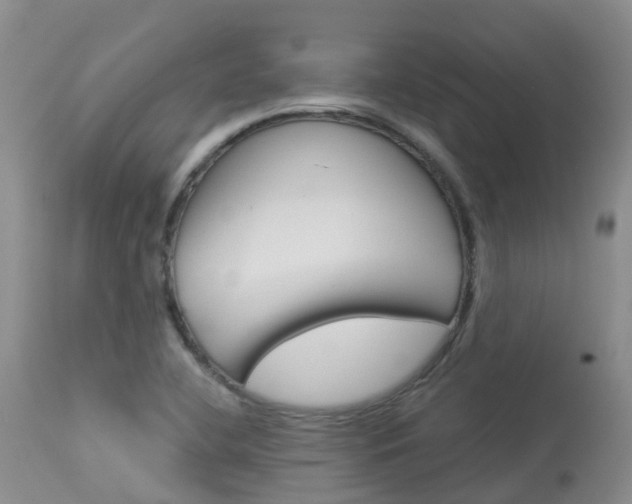 X0000114031412200910021029