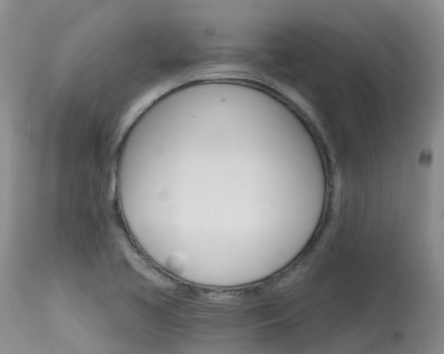 X0000114031413200910021029