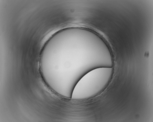 X0000114031415200910021030