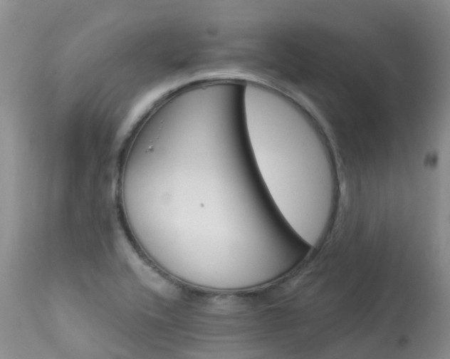 X0000114031416200910021030
