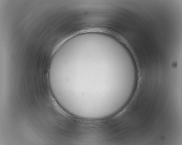 X0000114031417200910021030