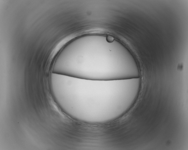 X0000114031418200910021030