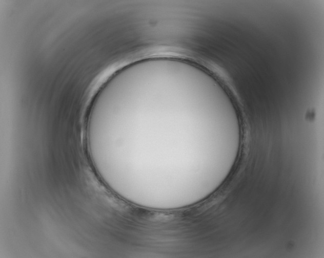 X0000114031419200910021030