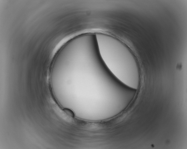 X0000114031420200910021030