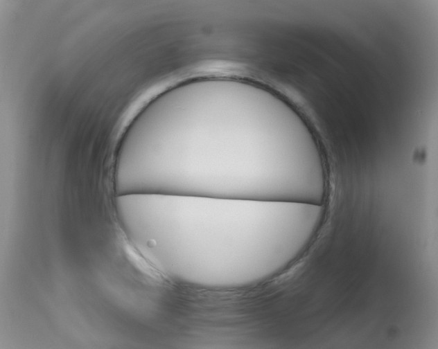 X0000114031421200910021030