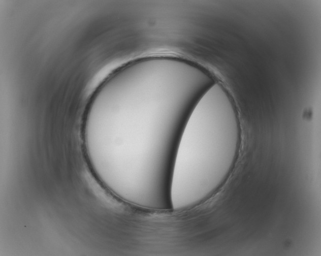 X0000114031422200910021030