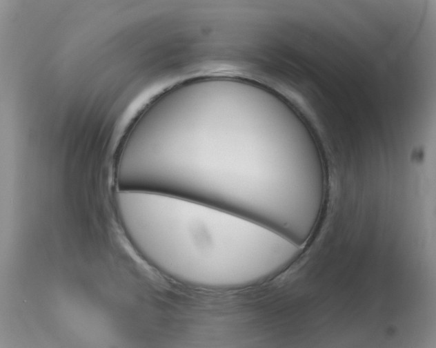 X0000114031424200910021030