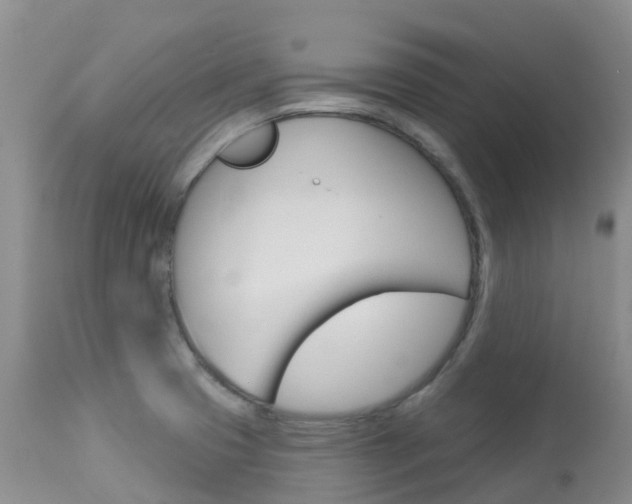 X0000114031425200910021030
