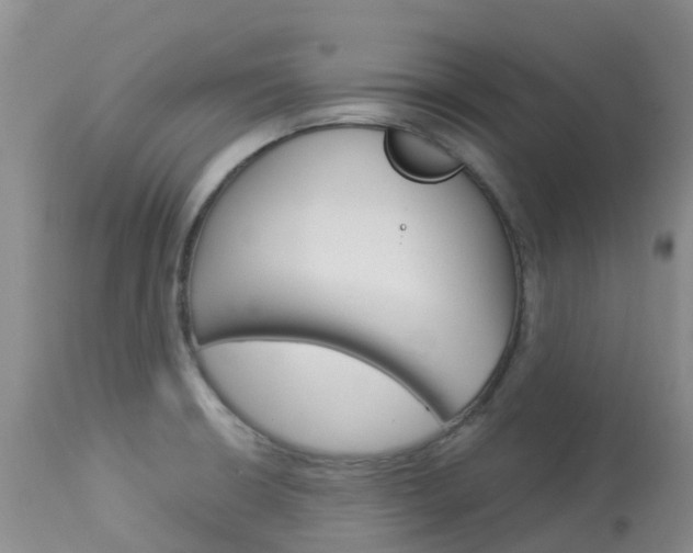 X0000114031426200910021030